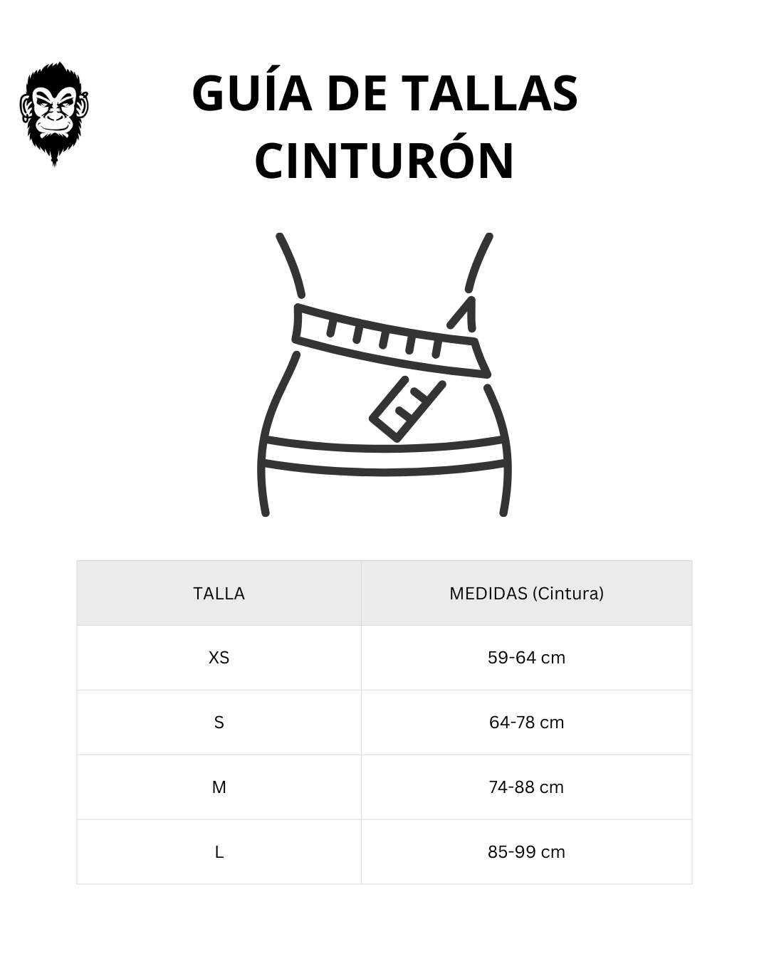 Guía de tallas - CINTURÓN LUMBAR CORE BELT